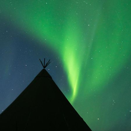 Aurora Glamping By The Whales Hotel Skjervoy Buitenkant foto