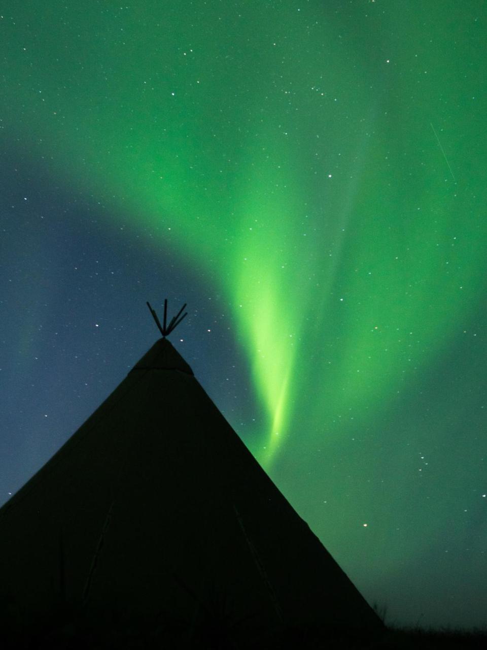 Aurora Glamping By The Whales Hotel Skjervoy Buitenkant foto