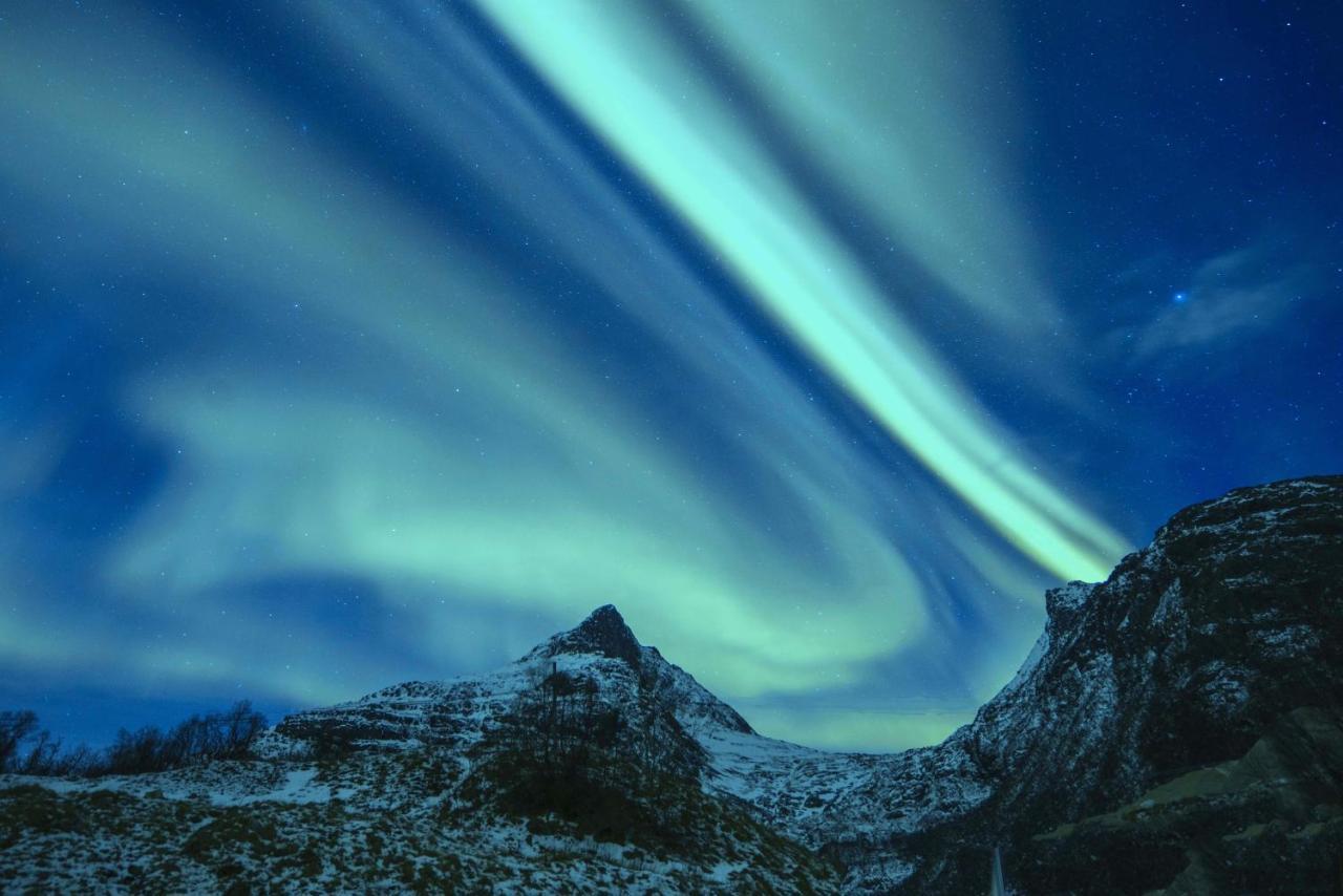 Aurora Glamping By The Whales Hotel Skjervoy Buitenkant foto