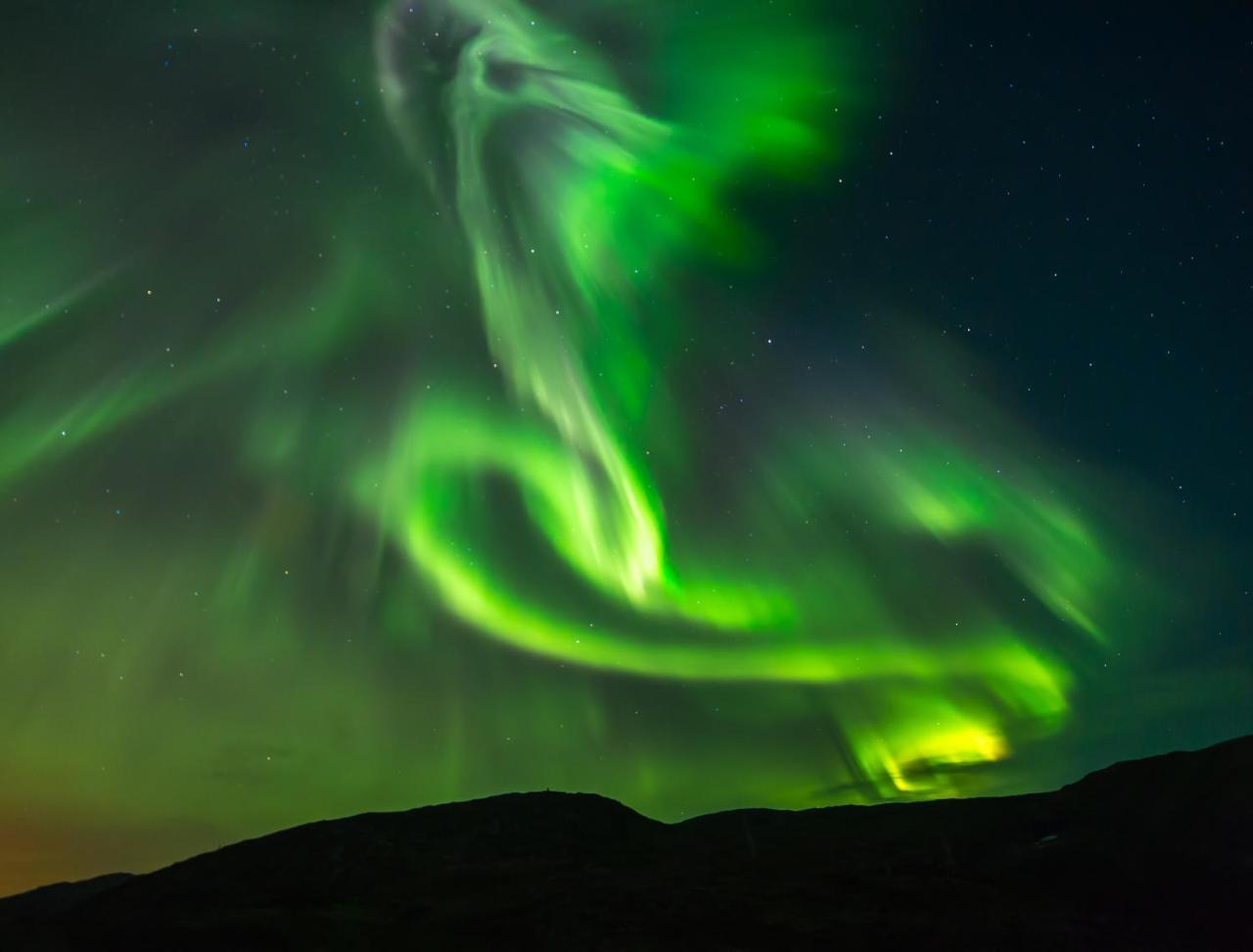 Aurora Glamping By The Whales Hotel Skjervoy Buitenkant foto