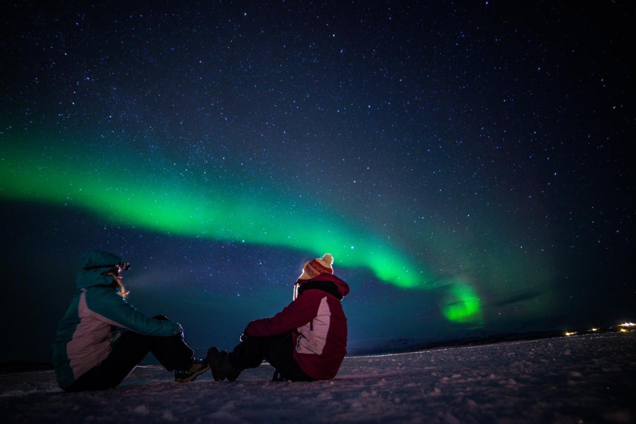 Aurora Glamping By The Whales Hotel Skjervoy Buitenkant foto